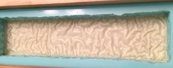 alien brain soap