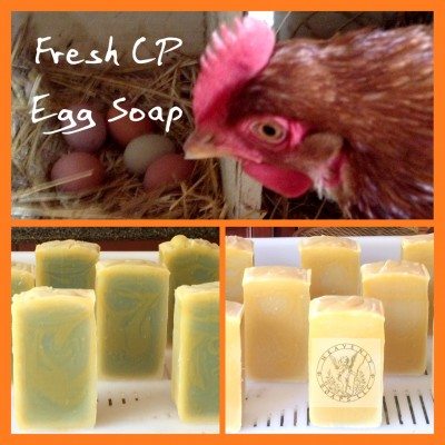 fresh eggs in cold process soap