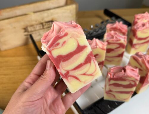 Peppermint Swirl Cold Process Soap – A Holiday Treat! (Recipe + Video)
